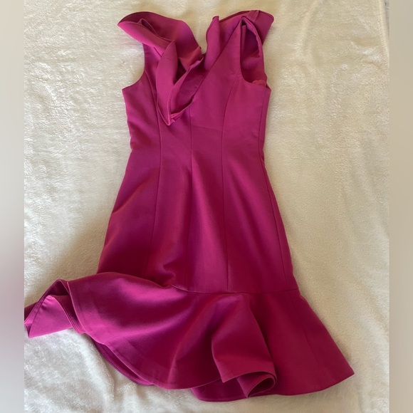 Likely Fuchsia Ruffle Mini Dress - Picture 9 of 10
